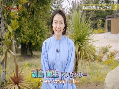 副島萌生アナ　NHKニュース7　ダーウィンが来た！